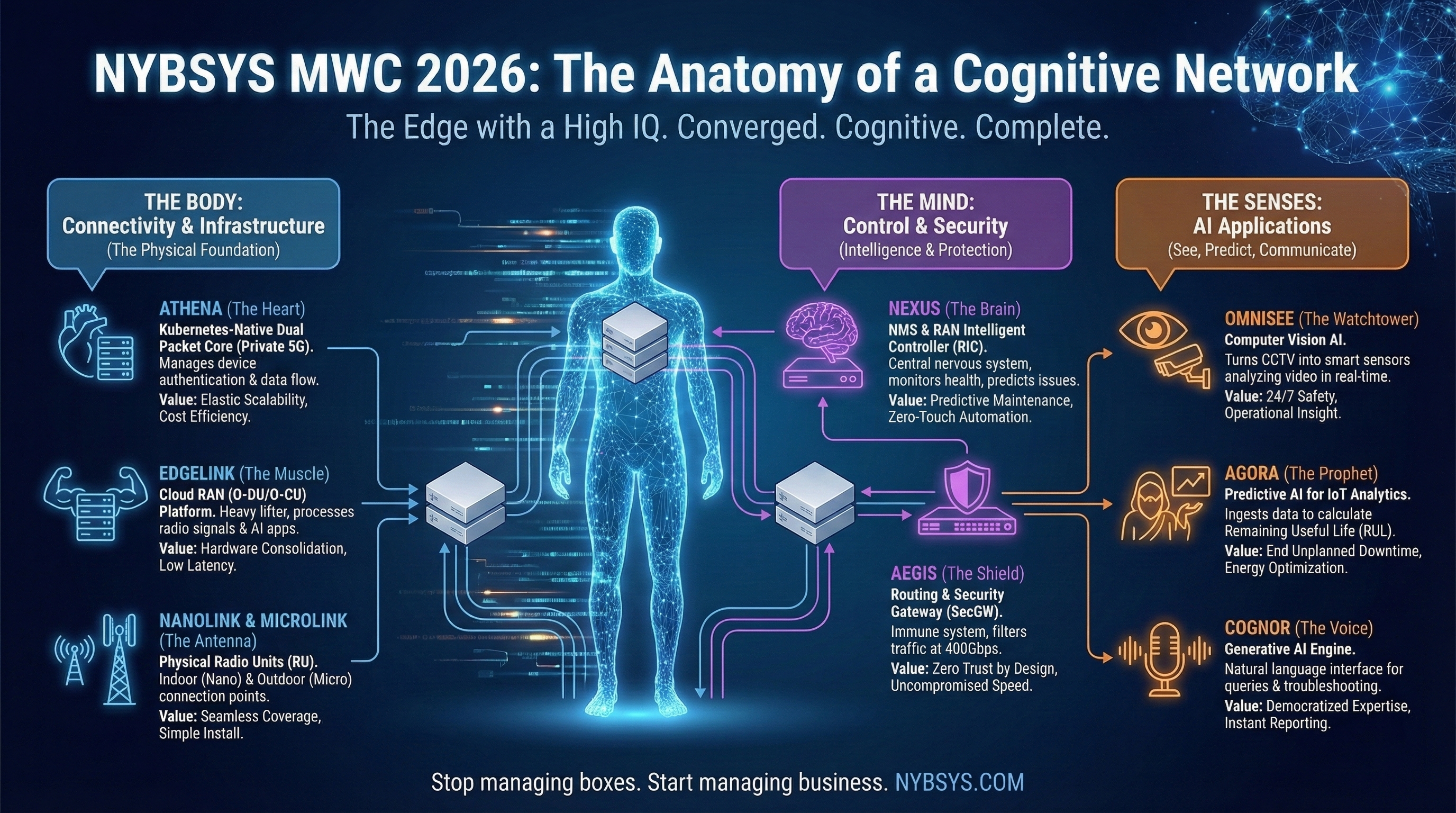Nybsys Anatomy Diagram